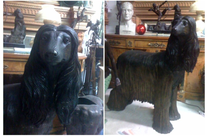 Bronze Afghan Dog